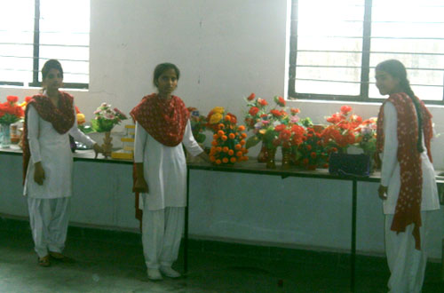 ROG Degree College